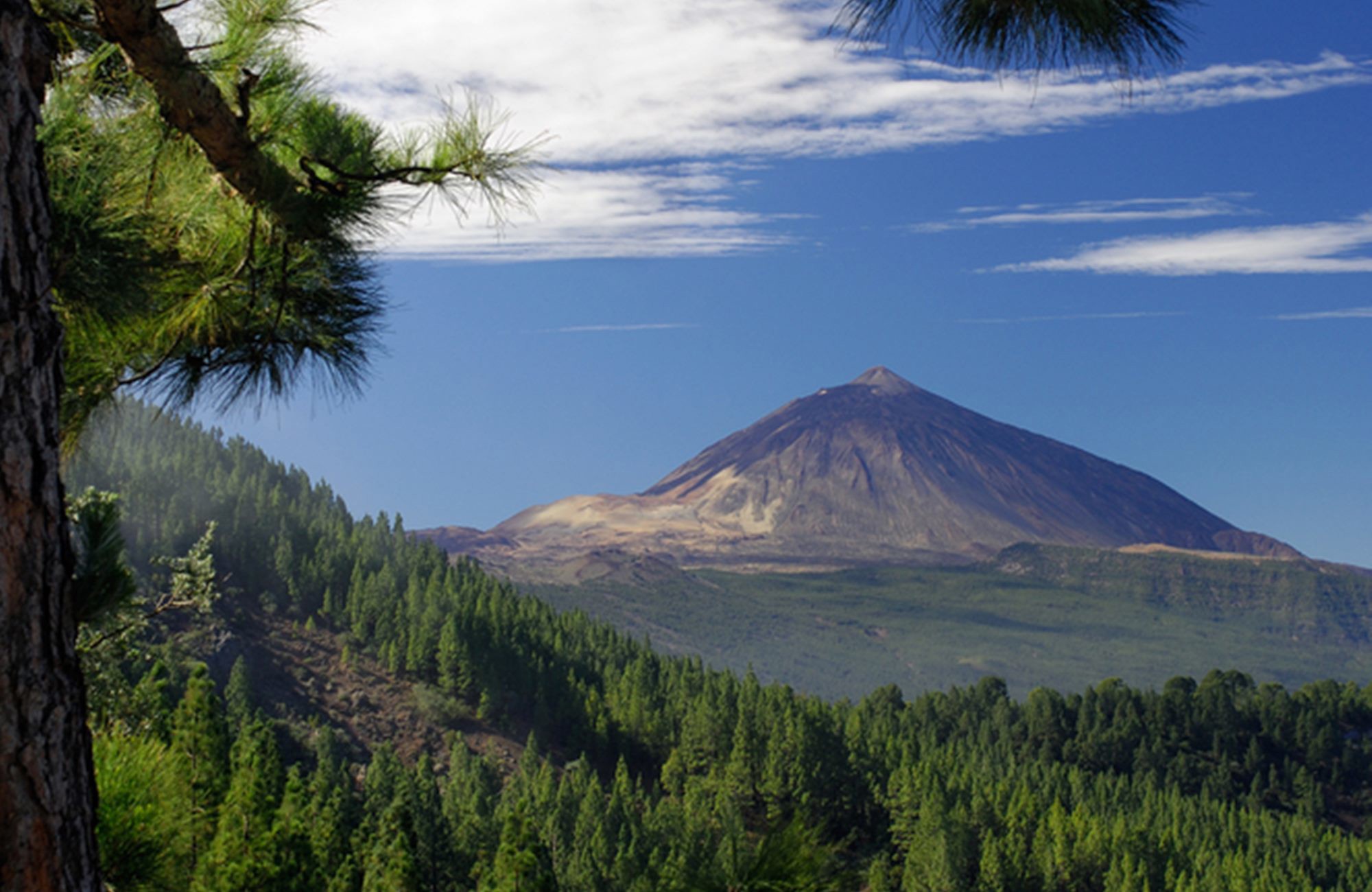 Tenerife Resort Guide