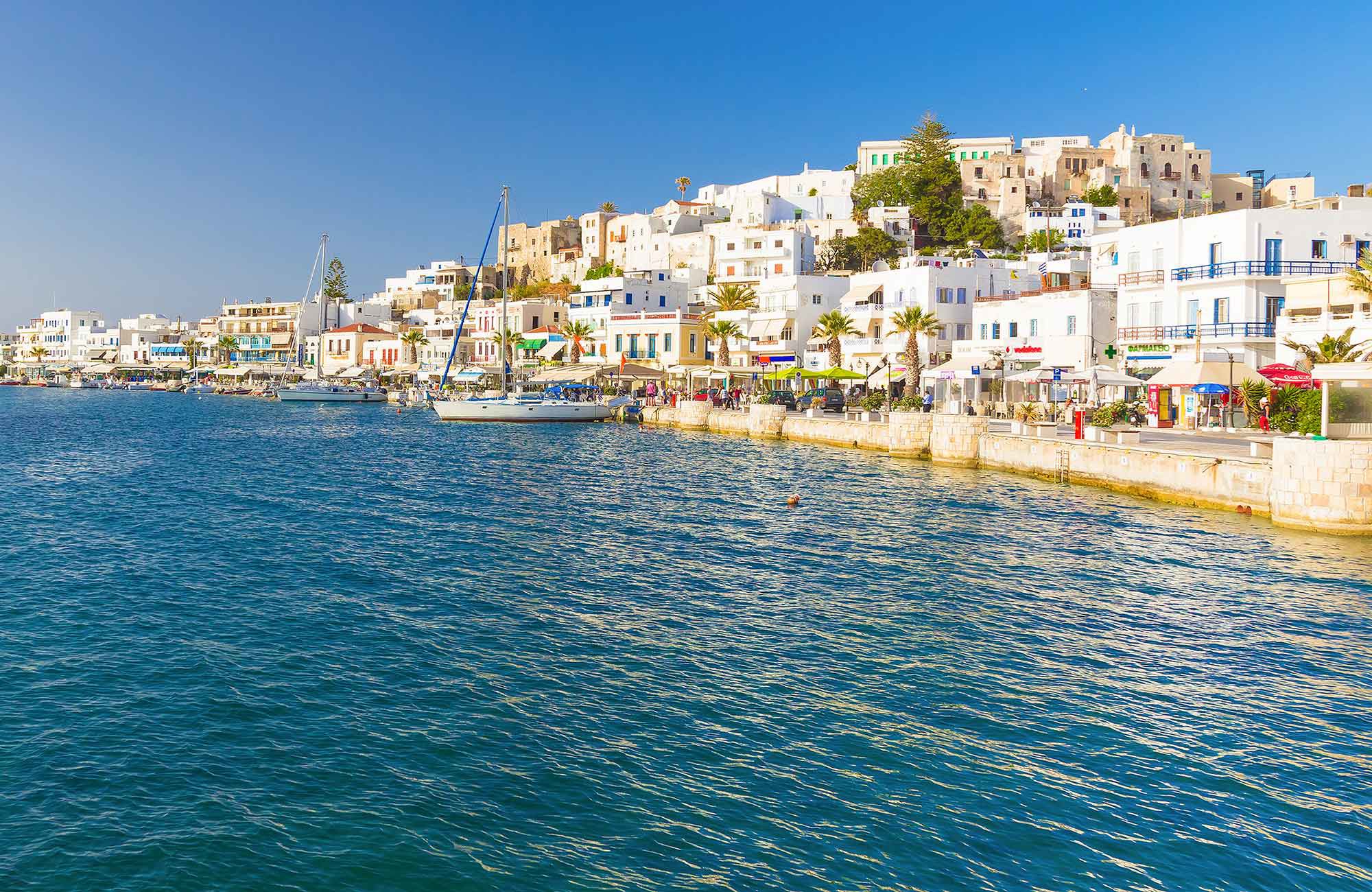 Holiday Hints &amp; Tips