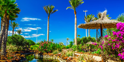 Fuerteventura Sightseeing