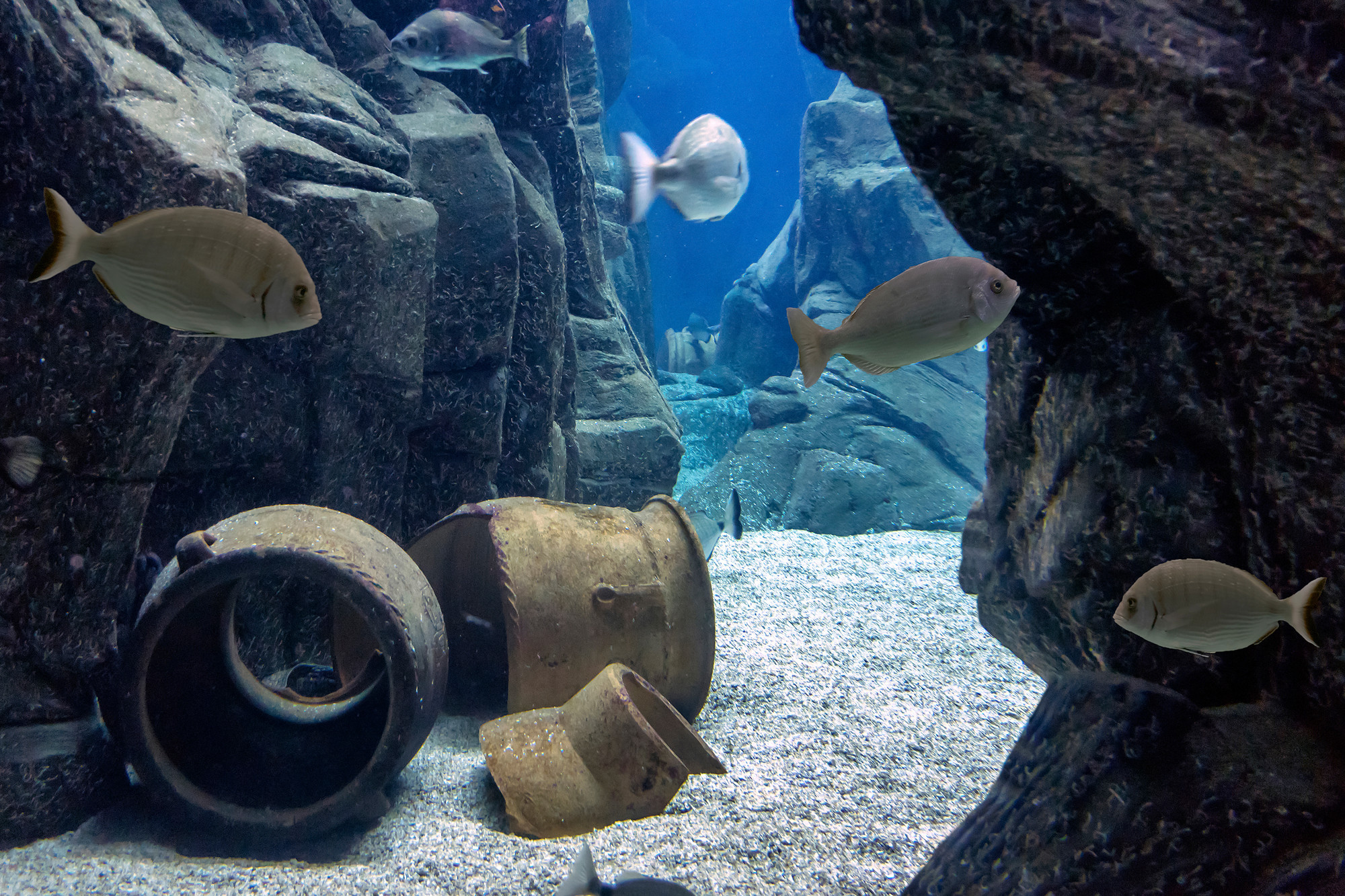 Cretaquarium
