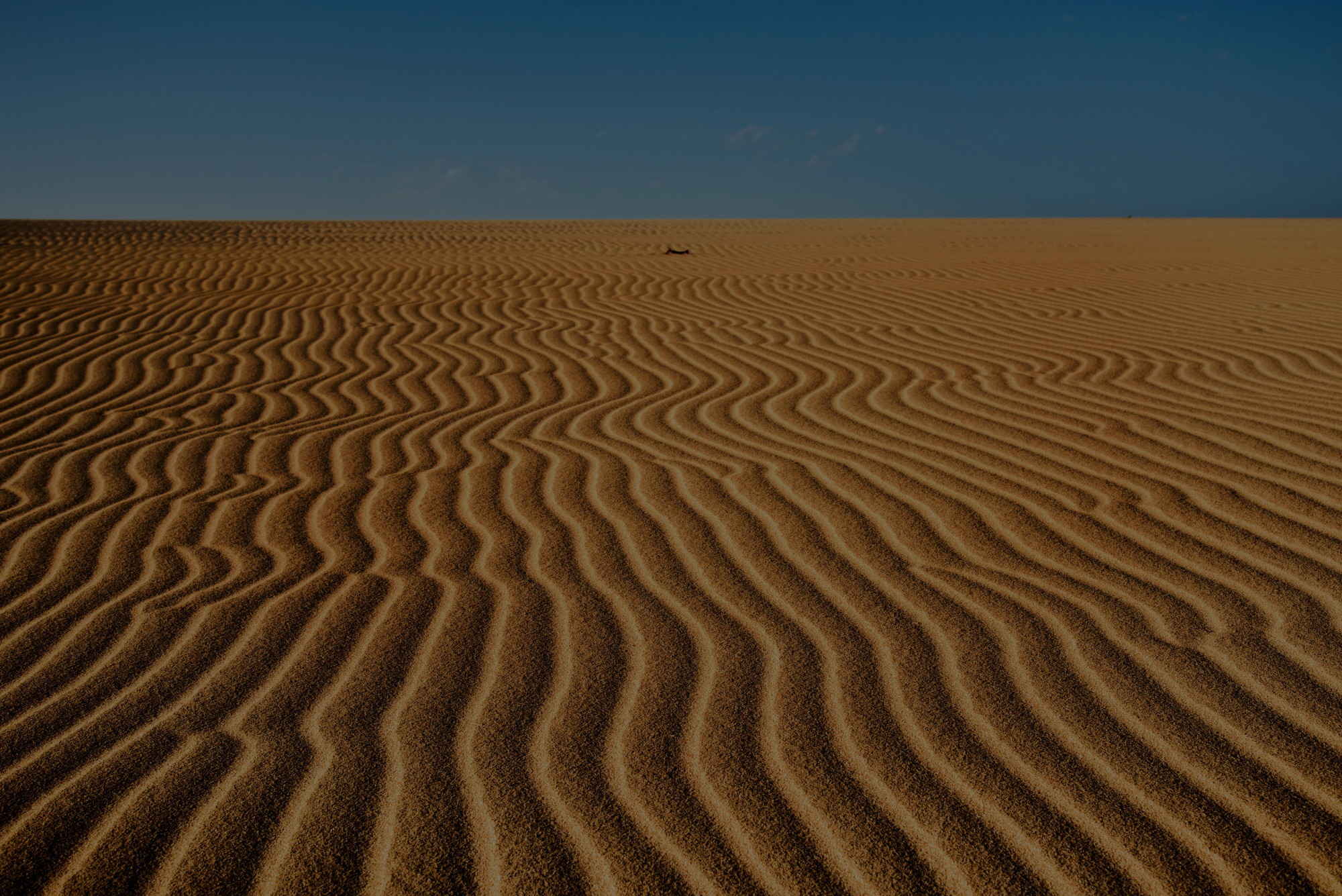 Take a 4x4 journey into the wild