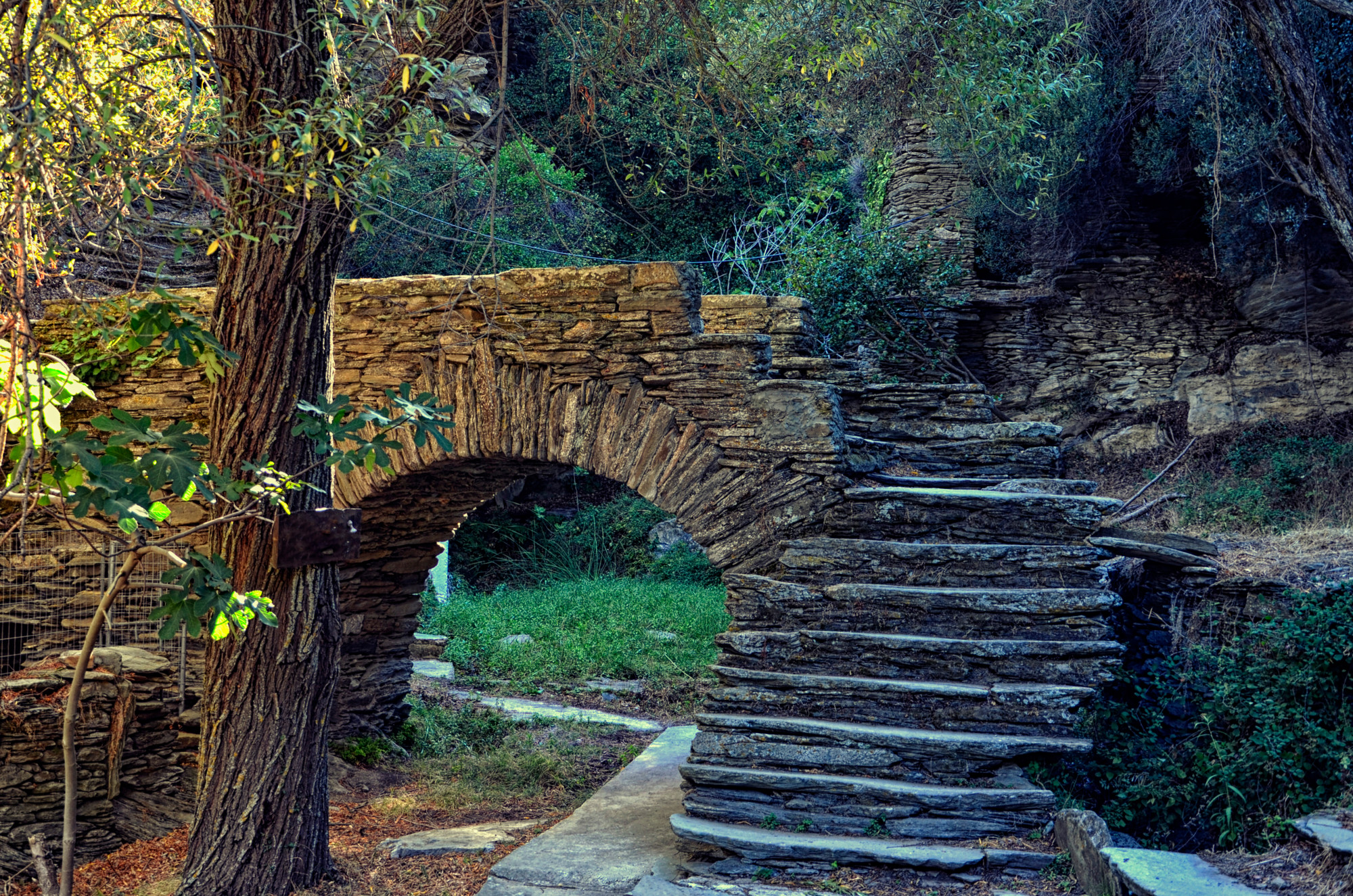 Hiking trails in Andros