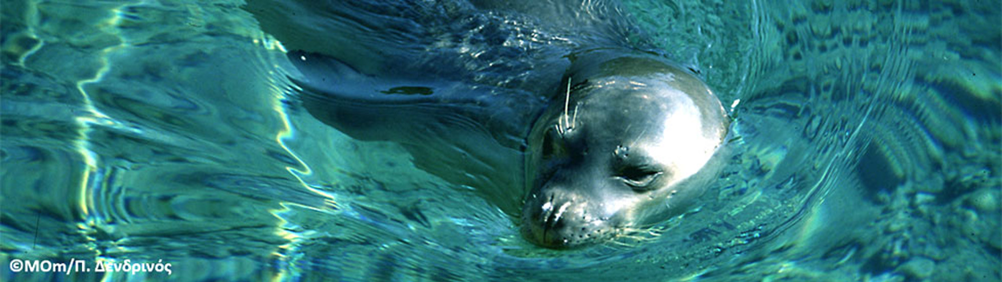 National Marine Park