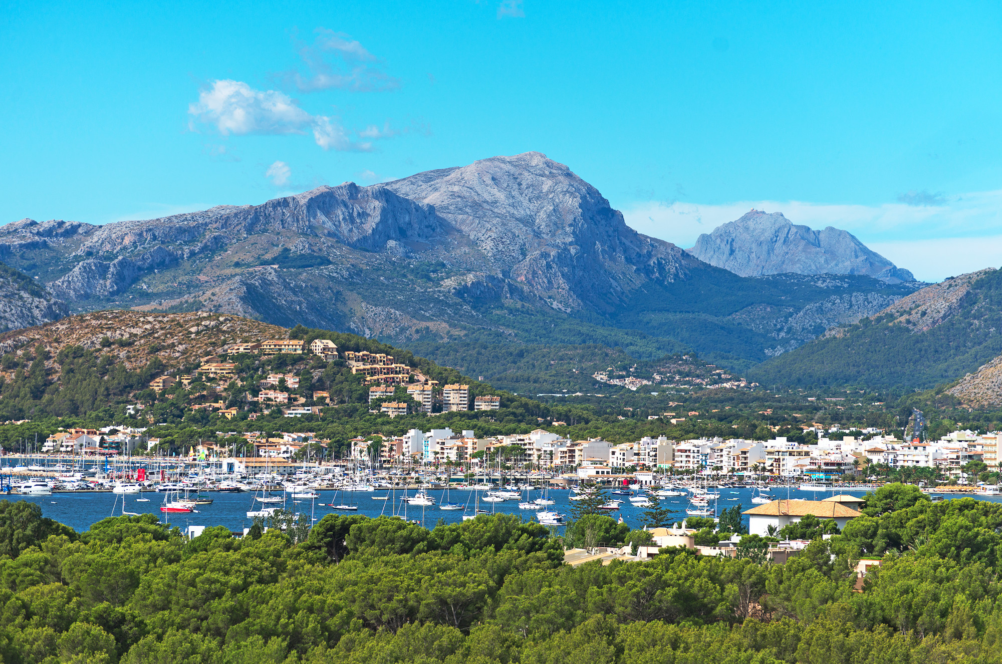 Puerto Pollensa