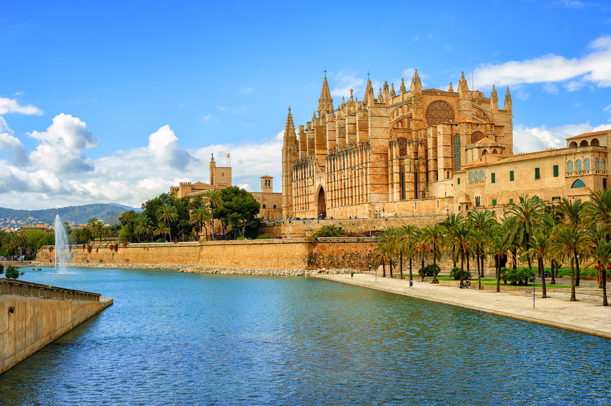 Palma