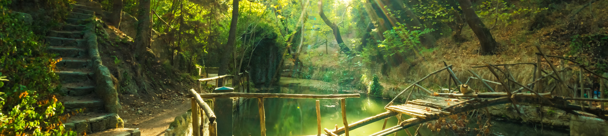 Rodini Park