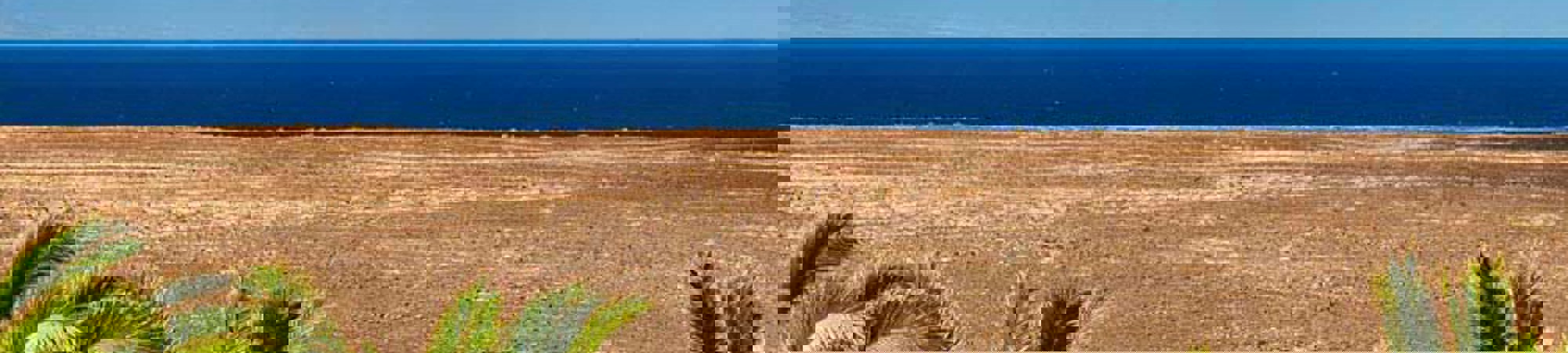 Nuevo Horizonte