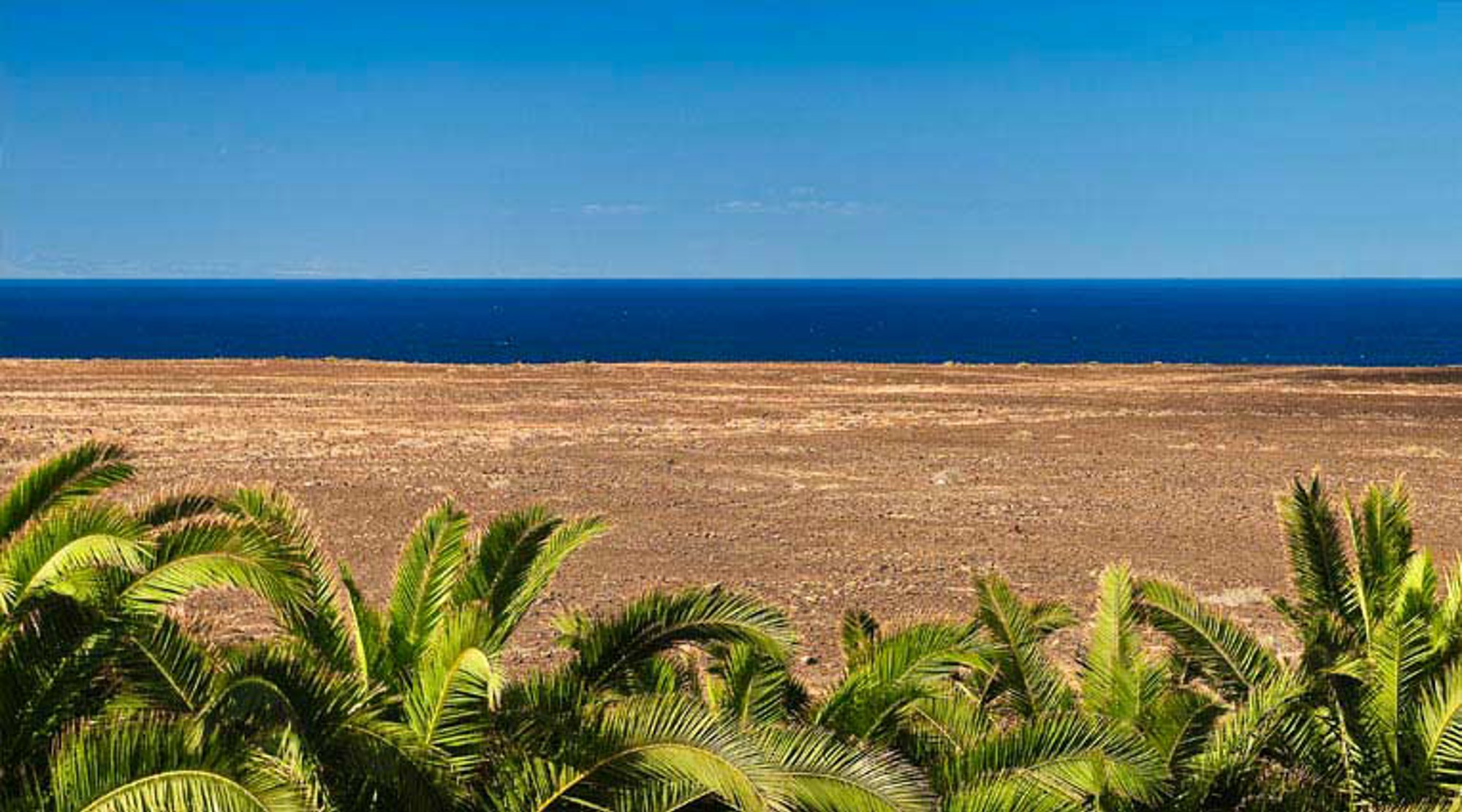 Nuevo Horizonte