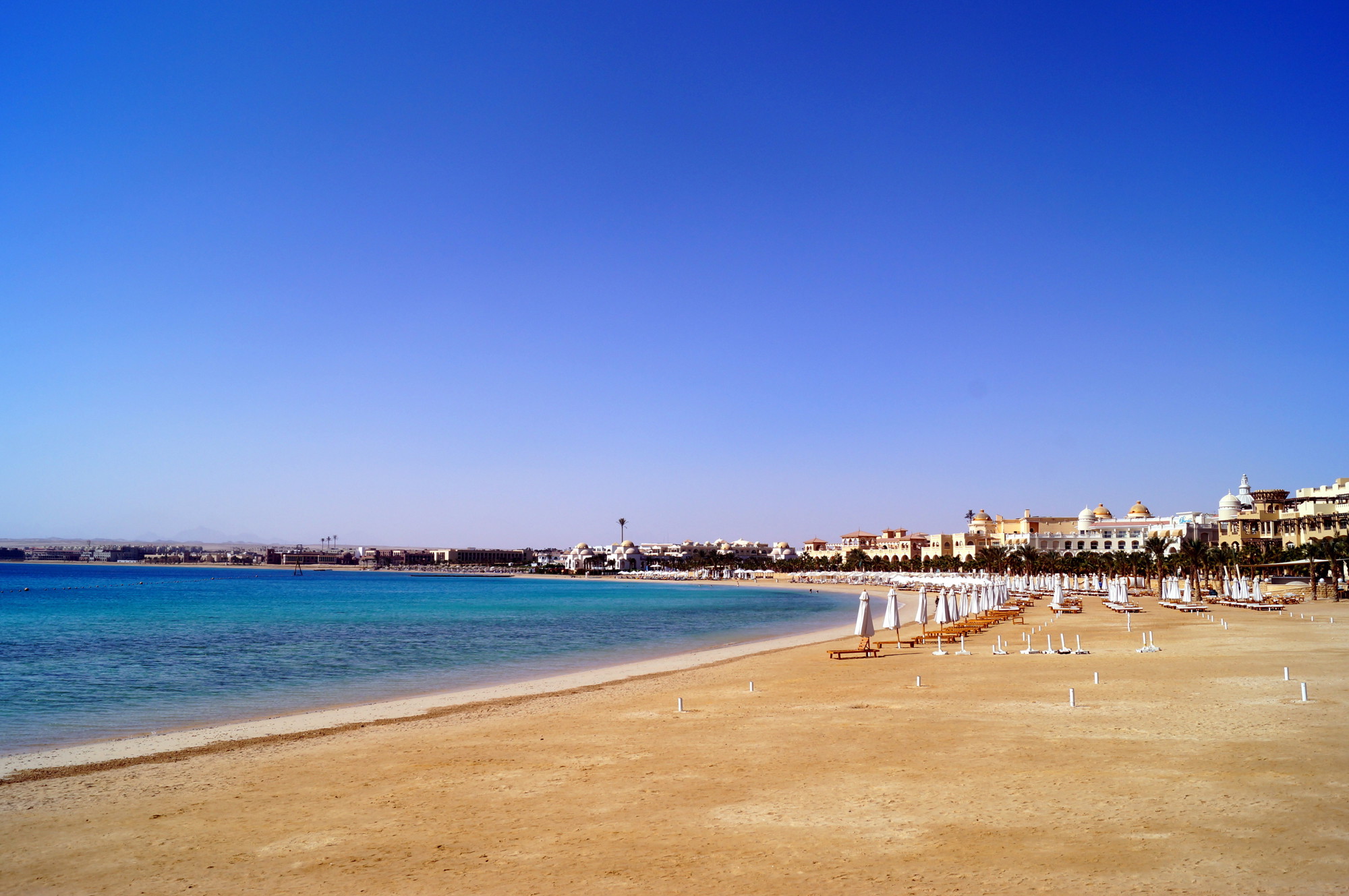Shutterstock 490571206