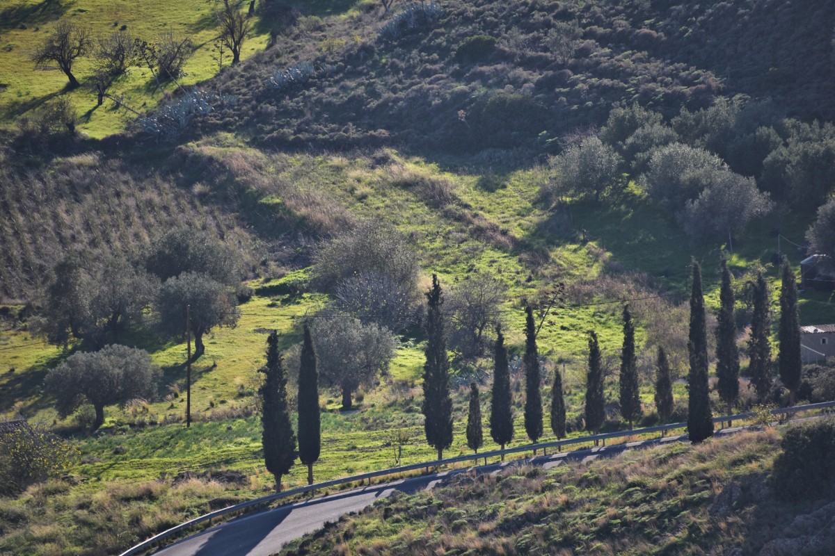 Paleochora Landscape