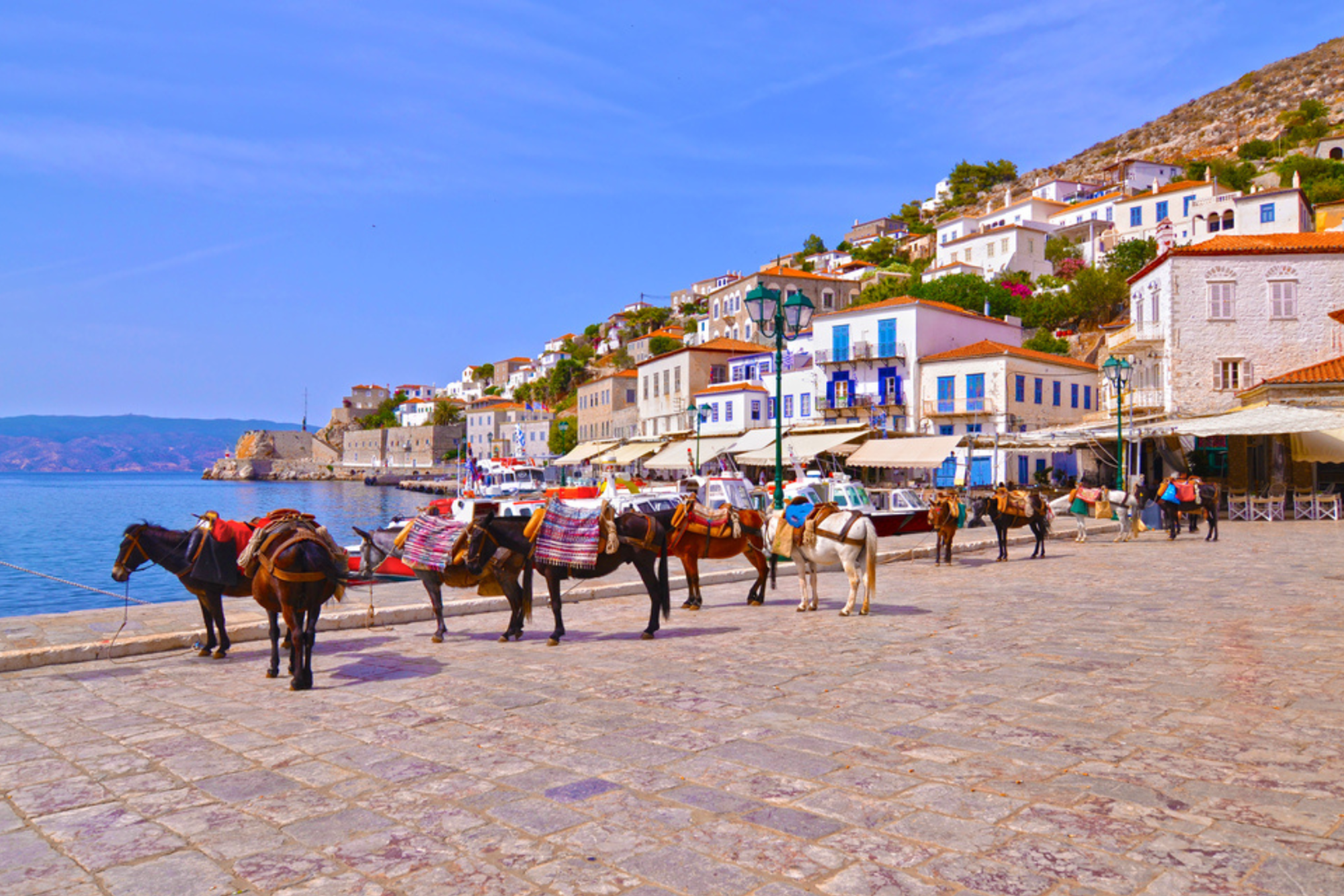 Getting Around on Hydra