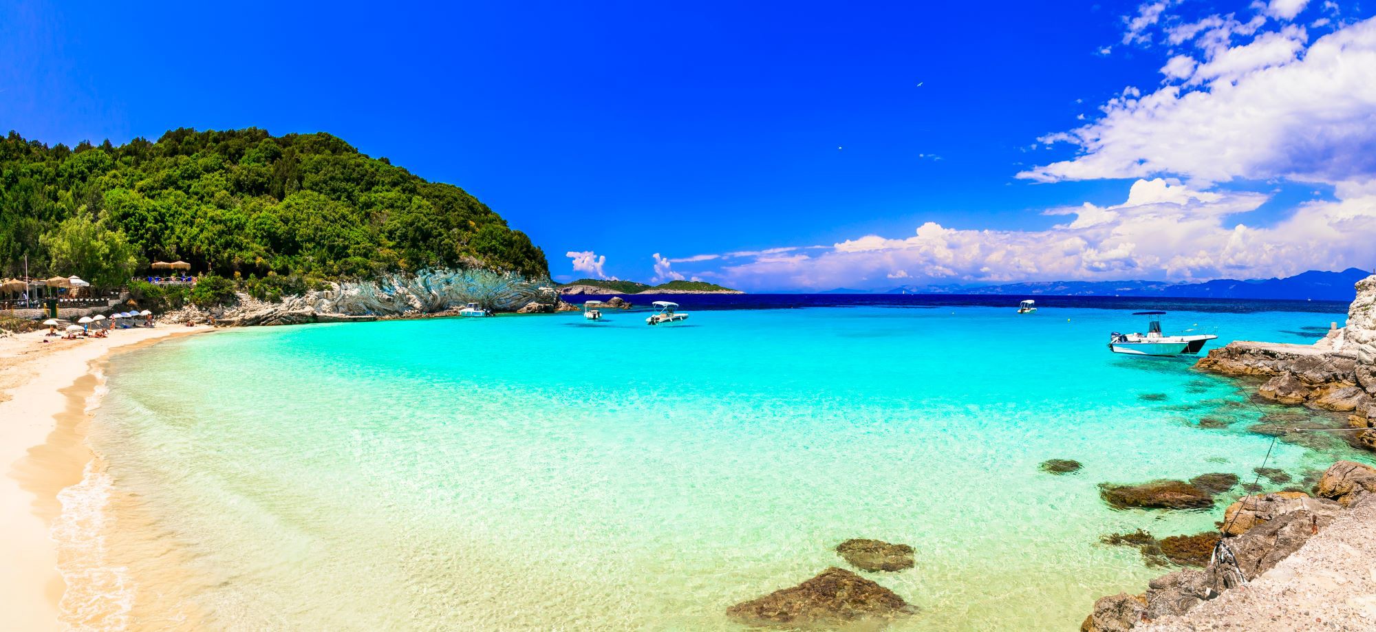 Antipaxos