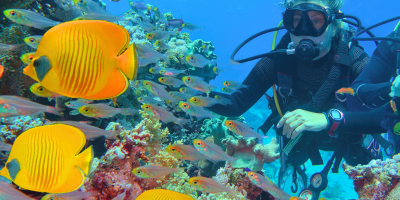 Sharm El-Sheikh Excursions