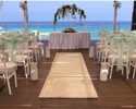 Golden Coast Protoras1