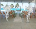Constantinos The Great Olympic Holidays Wedding (2)